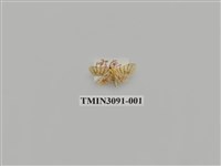 藏品(螟蛾87)的圖片